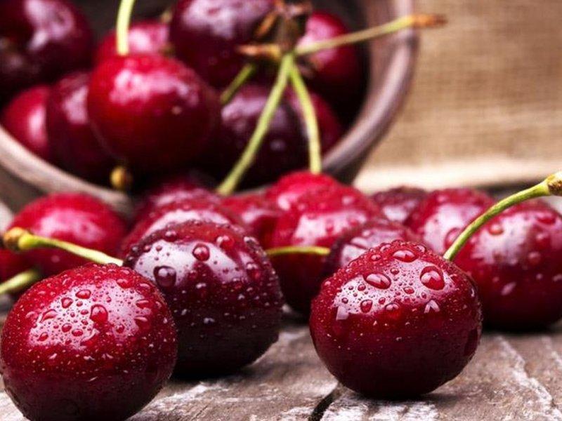 Вишня купить саженцы из питомника в Геленджике